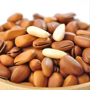 High Quality Fresh Pine Nuts Seeds Bulk Grade A++ Carton Packaging 2 Year Shelf Life for Snacks Baking Cooking Trusted Supplier