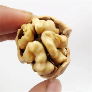 High Quality Light Color Walnut Halves for Bakery Snack Confectionery Walnut Kernels Bulk