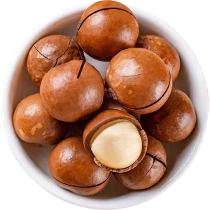 High Quality Macadamia Nuts in Shell Raw Organic Bulk Nuts Macadamia Nuts