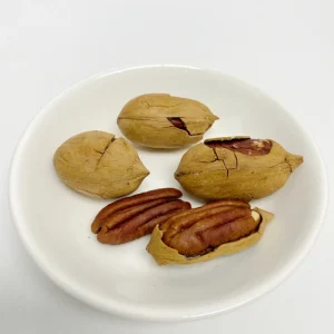 High Quality New Arrival Sweet Milky Flavor Dried Pecan Nuts Healthy Snack