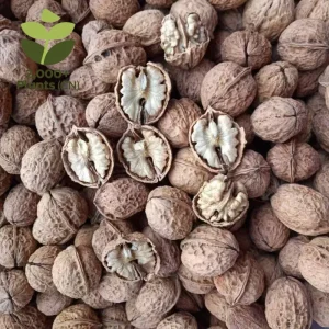 High Quality Organic Raw Walnuts with Skin