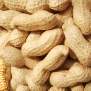 High Quality Organic Roasted Peanut Kernels Dried Raw Snack Processing Type in Shell Peanut Kernels