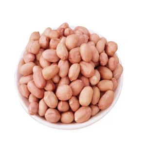 High Quality Peanut 100% Natural Raw Peanuts Nuts Without Shell