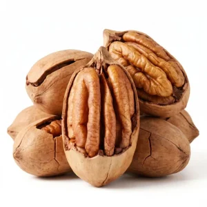 High Quality Pecan Nuts
