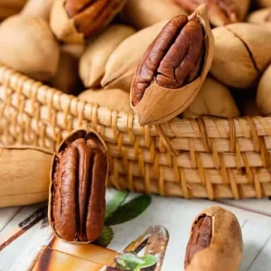 High Quality Pecan Pecan Price