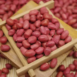 High Quality Raw Peanut peanuts