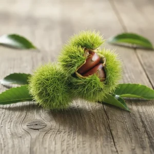 High Quality Shelled Raw Chestnuts Fresh Nutritious Chestnut Kernels Bulk for Bakery & Restaurant