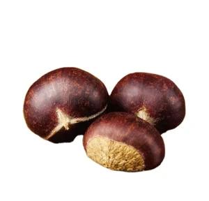 High Quality Snack Chestnut Edible Fresh Raw Whole Chestnuts for Sale