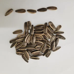 High Quality Sunflower Seeds for Snack Roasting & Oil Bulk Supply Clean Uniform Non GMO