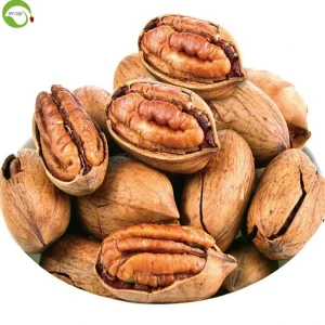 High Quality Top Grade Vanilla Flavor 25mm+ Pecan Nuts Bulk Pack Vacuum Packed Dried in Shell for Food Use