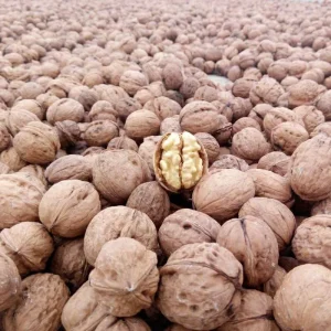 High Quality Walnuts Nutritious and Healthy Walnuts Healthy Food Natural Chinese Walnuts