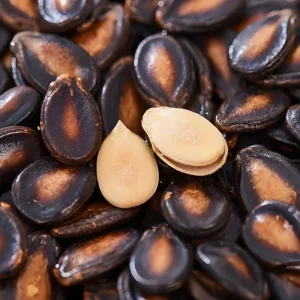 High quality Black Large sized Watermelon Seeds Snacks Raw 25kg Dried Packaging Inner Mongolia Newest Crop Year 9% Max