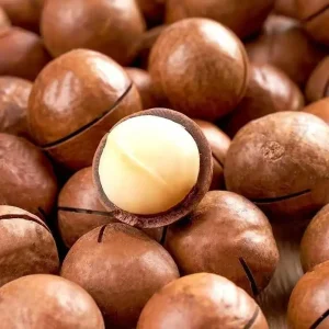 High quality Dried Blanched Macadamia Natural Healthy Kernel Food