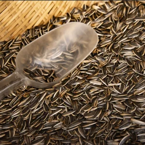 High quality Dried Melon Seeds and Premium Nuts Export Factory Offers Discounted Prices