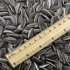 High quality Dried Sunflower Seeds Premium Melon Seeds No Additives ISO Certified
