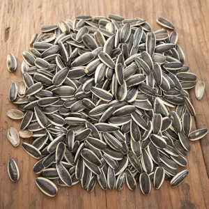 High quality Dried Sunflower Seeds & Premium Melon Seeds Snacks Bulk Ready to Eat No Additives ISO Certified