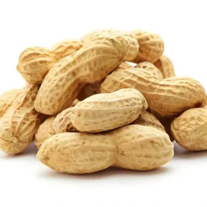 High quality Non GMO Raw In shell Large Peanuts Fresh Natural Snack Ready to Eat Available in Bulk Discounted Prices