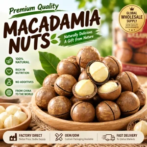 High quality Shelled Australian Nuts Food grade Unprocessed OEM Production Private Label Grocery Retailers and Wholesalers