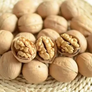High quality Super Grade Large Grain Walnut Natural Fresh Super Grade Walnuts