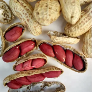In Stock Bulk Peanuts Red Peanut Kernel
