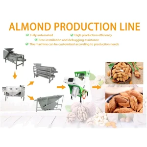 Industrial Automatic Almond Kernel Extraction Line