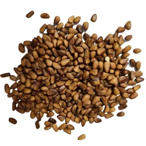 Jilin Organic Pine Nuts Roasted Dried Agriculture Product Nut Food