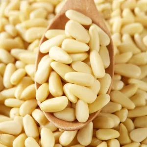 Korean Pine Nut Pine Nuts