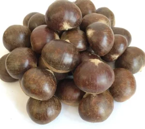 Kosher Chestnut Sweet Taste Edible Chestnuts
