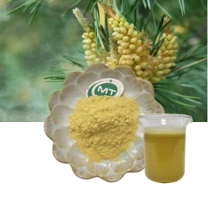 Kosher Halal Pine Pollen Powder Pinus Massoniana Broken Pine Pollen Powder