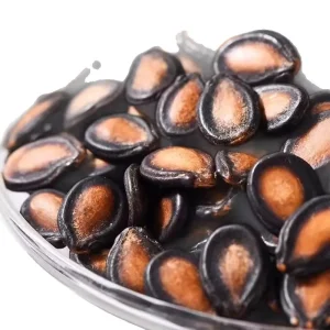 Large Raw Watermelon Seeds Fresh Original Flavor Sunflower Seeds Nuts Snacks 250g Bulk High quality HACCP Certified