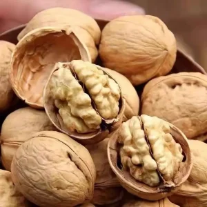 Large Roasted Walnut in Shell Natural Crunchy Nut Bite High Aroma Quality Choice for Snacking Baking Kitchen Pantry Daily