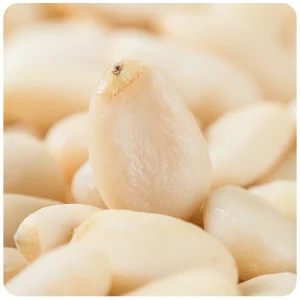 Large Size Raw Pine Nut Kernels 10kg From Northeast China for Healthy Snack Mix Holiday Gift Box OEM Bulk Export Supply