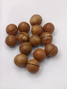 Macadamia
