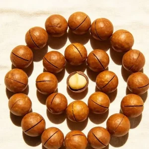 Macadamia Nut