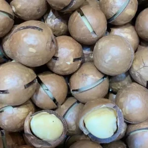 Macadamia Nuts