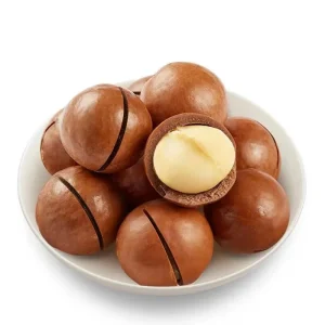 Macadamia Nuts Factory Supply Premium Quality Daily Snack