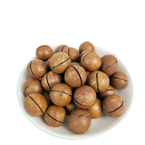 Macadamia Nuts Roasted and Cracked 22mm 25mm Nutritious Direct Eating Snack From China