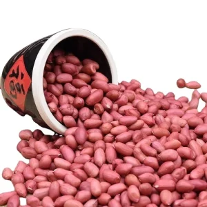 Made in China Superior Quality Shelled Organic Raw Peanut Nuts Natural Red Skin Peanuts