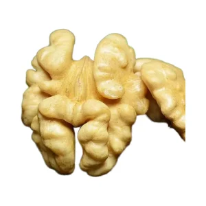 Madwell Factory Raw Walnuts Kernels Healthy Bulk Nuts Premium Walnuts Walnut in Shell Dry Fruits for Sale
