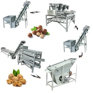 Multifunctional Motorized Nut Almond Hazelnut Sorting Grading Machine Cashew Kernel Processing Commercial Walnut Sheller Line
