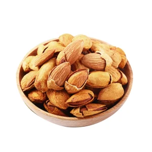 Natural Almonds Organic In-Shell High Quality Bulk Raw and Dried for Food Use