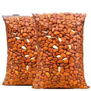 Natural Open Shell Pine Nuts Kernel Original Flavor Fried Salty Pine Nut Snack Bulk From China