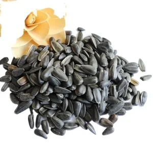 New Crop Black Oil Sunflower Seeds for Bird Seeds