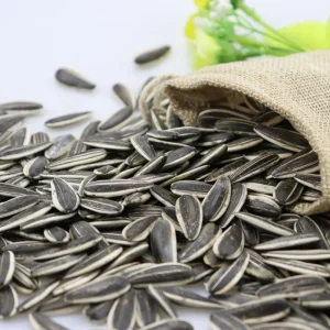 New Crop Bulk Price China Sunflower Seeds 363 361 T6 Support Multiply Flavor Customize