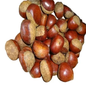 New Crop Bulk Raw Fresh Sweet Chestnut Chestnuts Price Per kg From China