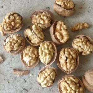 New Crop Walnut Kernels Premium Quality Fresh Walnuts Nuts Half Pieces for Snack Bakery