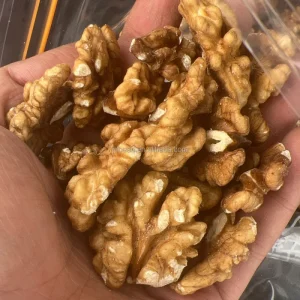 New Crop Walnut Price China Kashmir Walnut Kernels