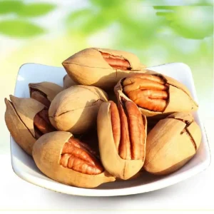New Crop in Shell Pecan Nut Kernels Premium Raw Dried Pecans for Food Use