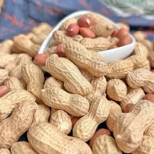 New Season Blanched Raw Dried Peanuts in Shell Shandong Origin Multiple Flavors Crispy Bulk Retail Packaging