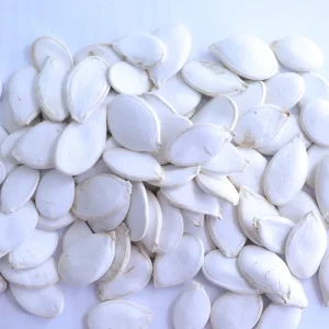 Nihewan 11cm Snow White Pumpkin Seeds Raw Dried China Pumpkin Seeds
